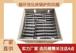 循環(huán)流化床鍋爐的風(fēng)帽-選風(fēng)帽需關(guān)注這4點[江河]